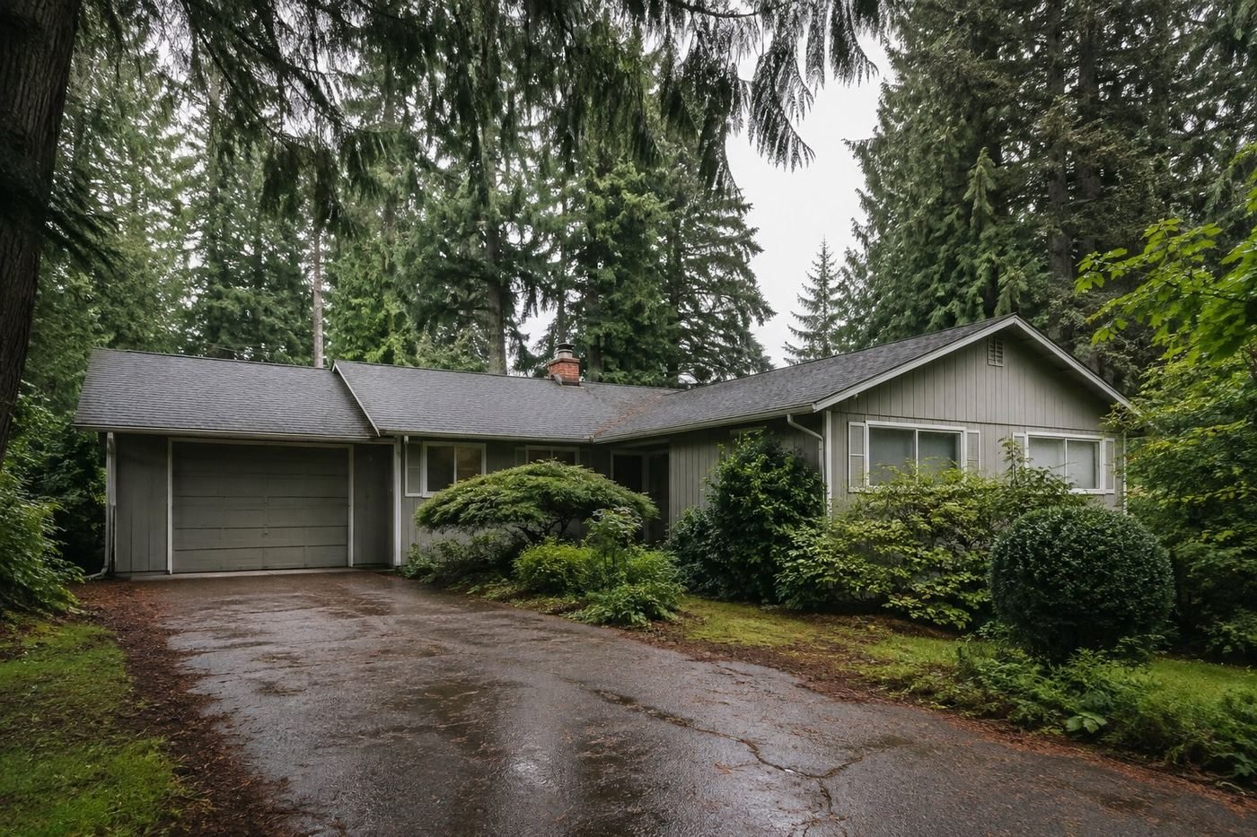 A single-story Pacific Northwest home enclosed by tall Douglas fir, roof in permanent shade